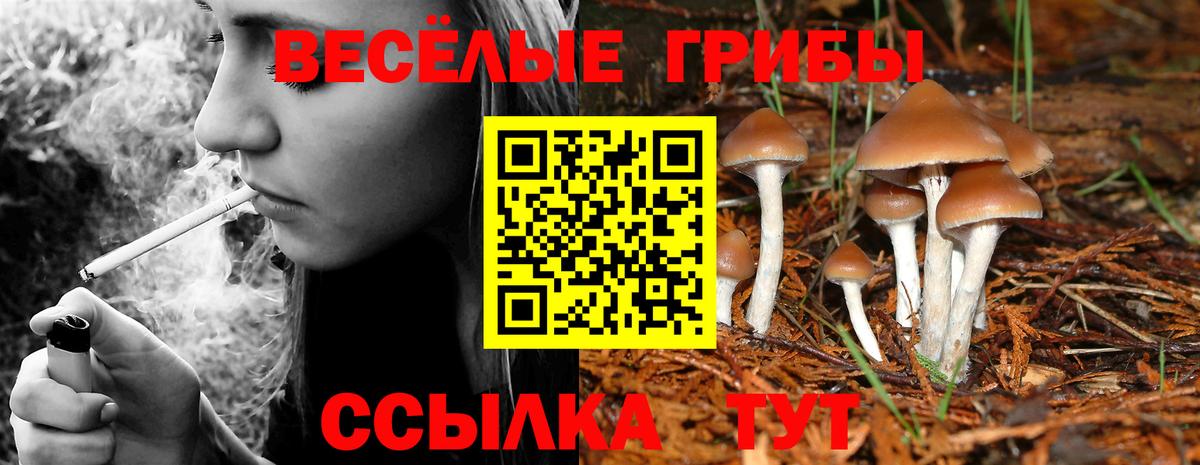 Карталы  Галлюциногенные грибы мухоморы  Вход с VPN 